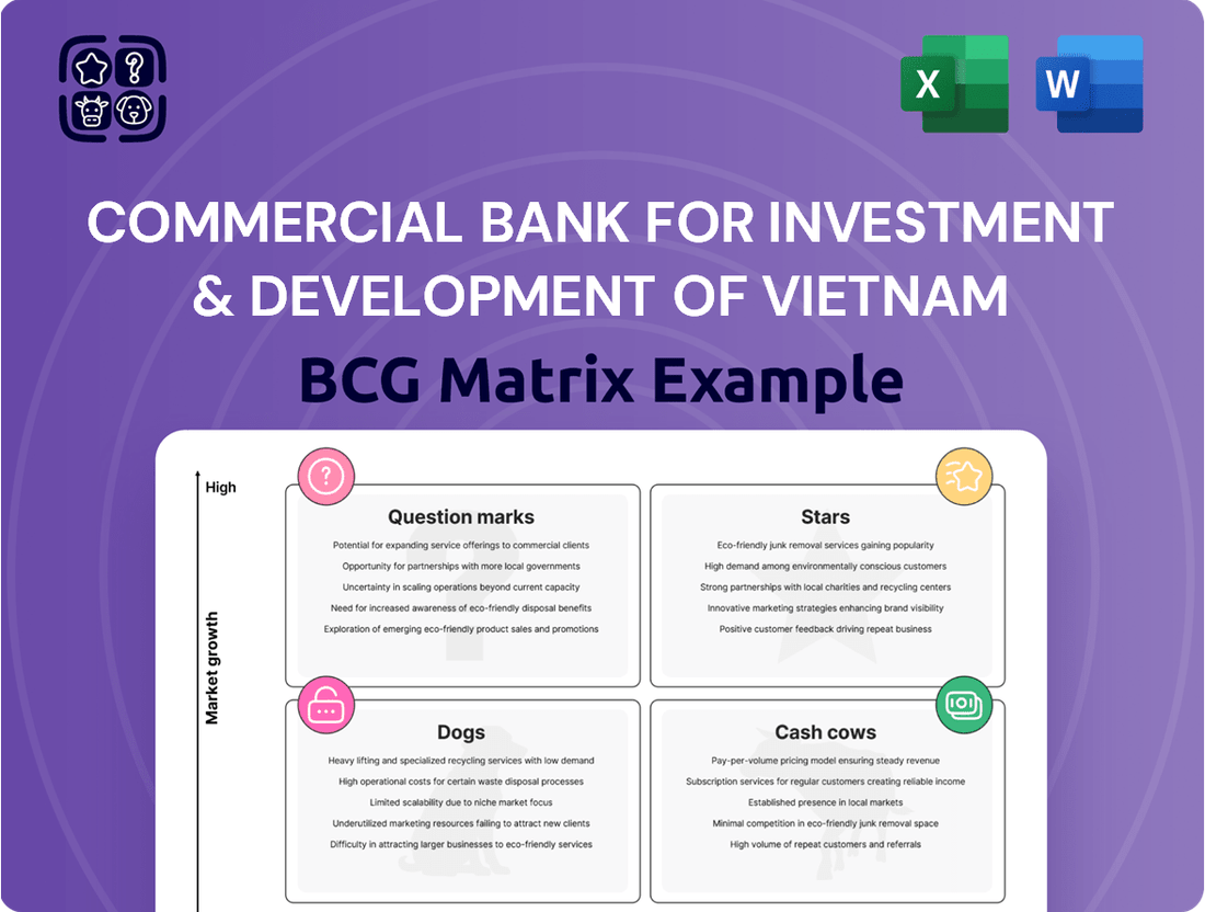 Commercial Bank For Investment & Development Of Vietnam Boston Consulting Group Matrix