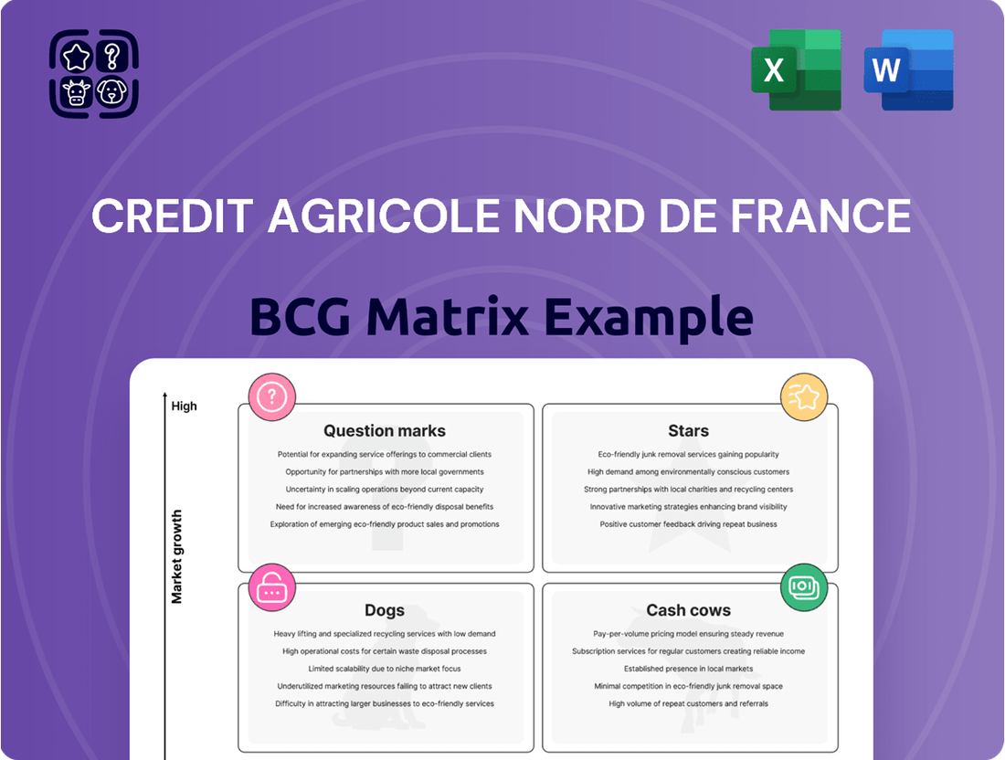 Credit Agricole Nord de France Boston Consulting Group Matrix