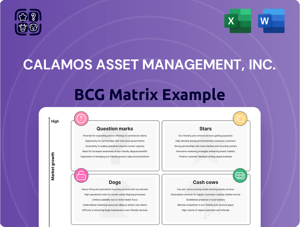 Calamos Asset Management, Inc. Boston Consulting Group Matrix