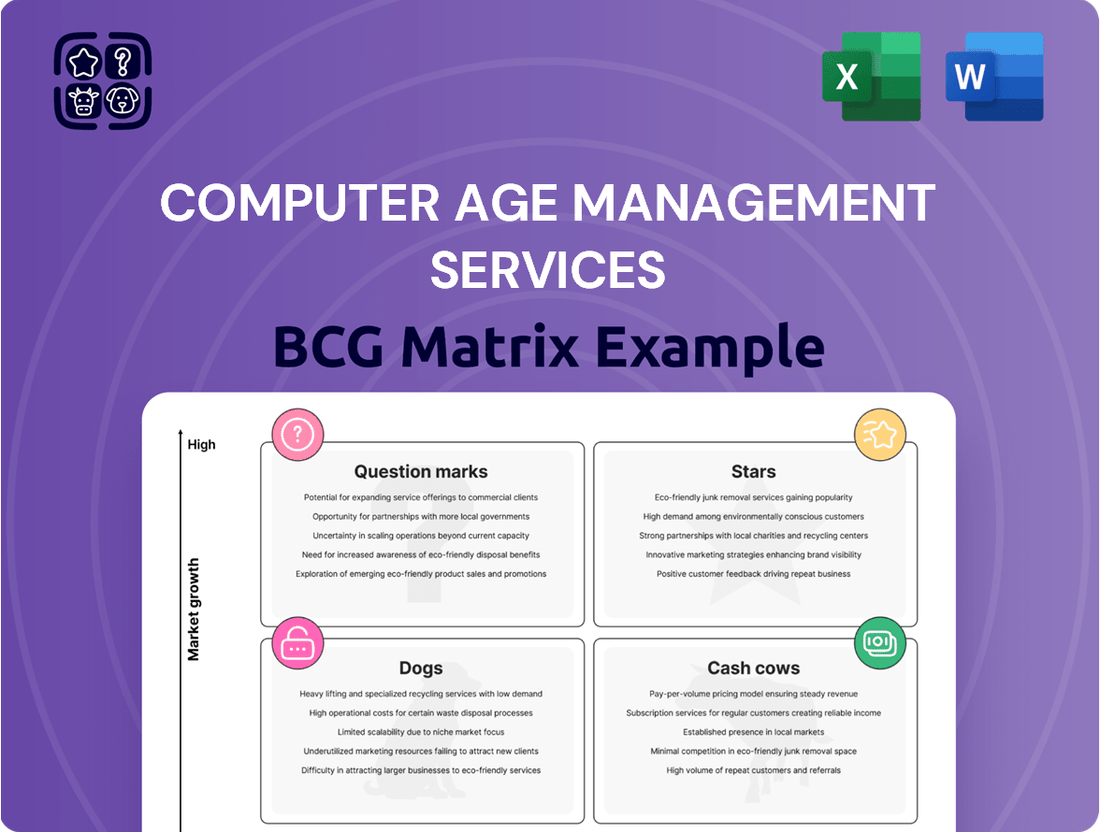 Computer Age Management Services Boston Consulting Group Matrix