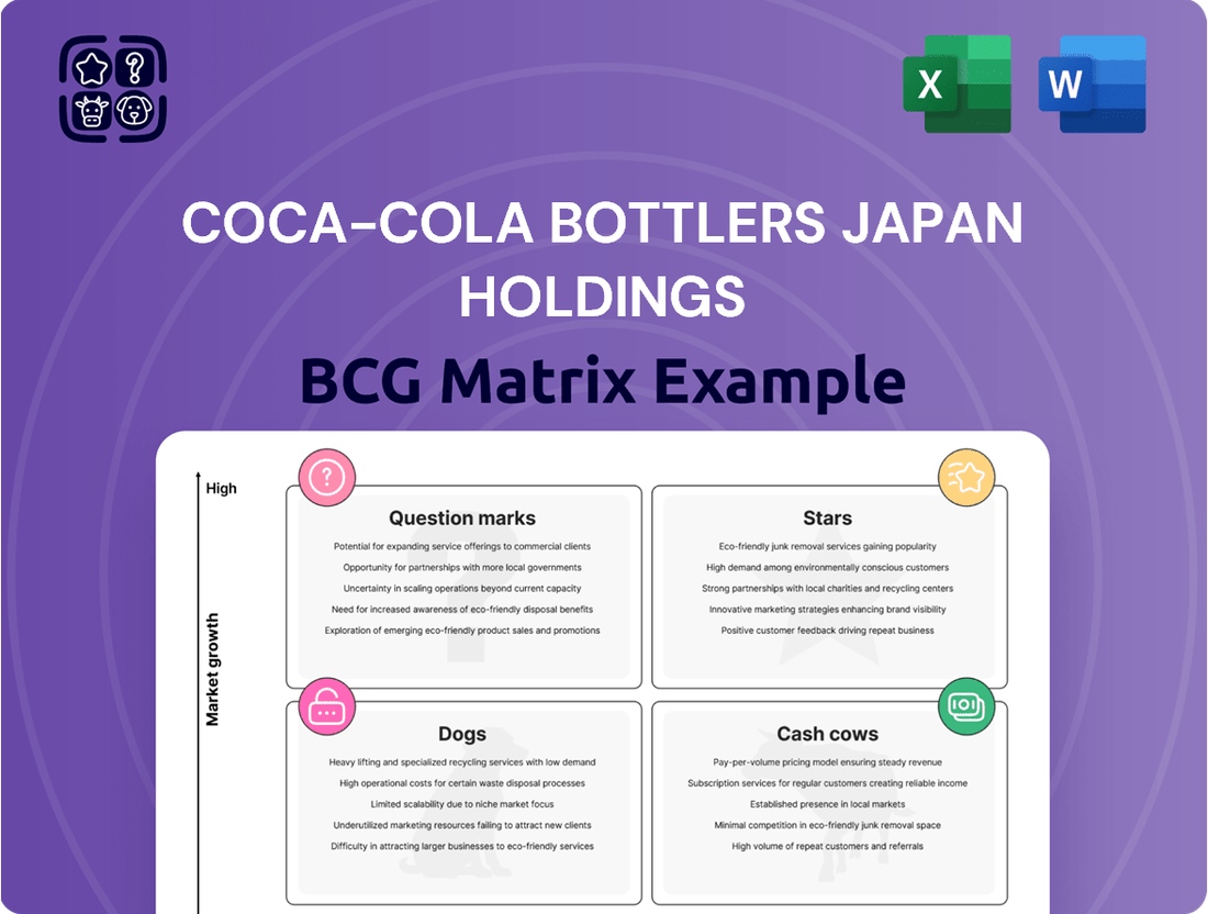 Coca-Cola Bottlers Japan Holdings Boston Consulting Group Matrix