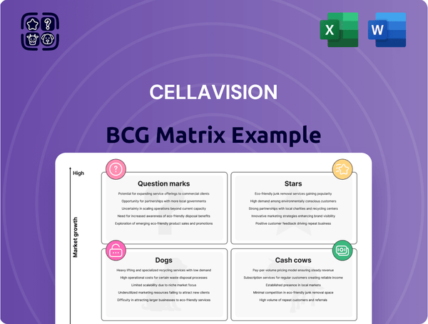CellaVision Boston Consulting Group Matrix