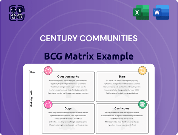 Century Communities Boston Consulting Group Matrix