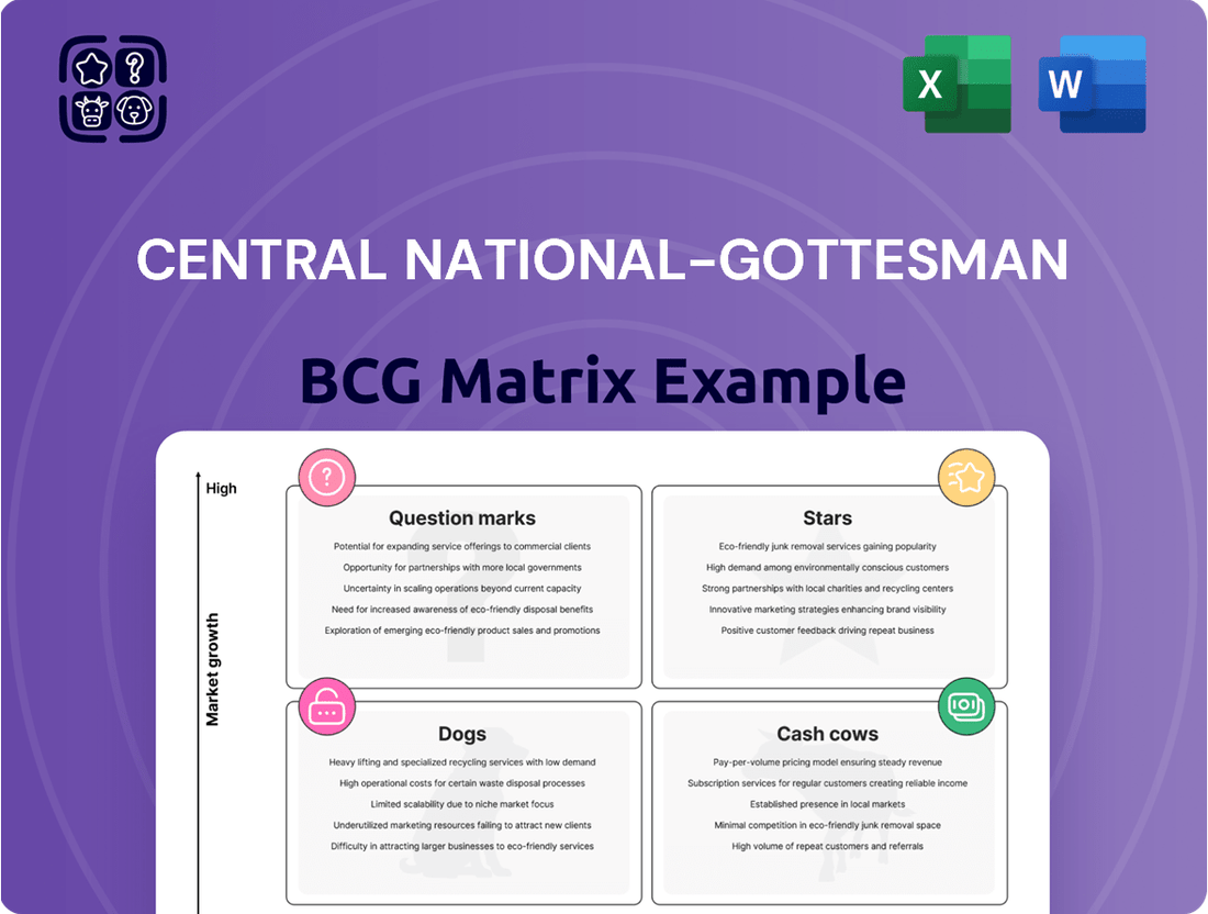Central National-Gottesman Boston Consulting Group Matrix