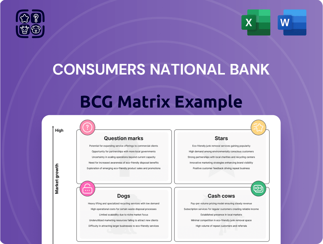 Consumers National Bank Boston Consulting Group Matrix