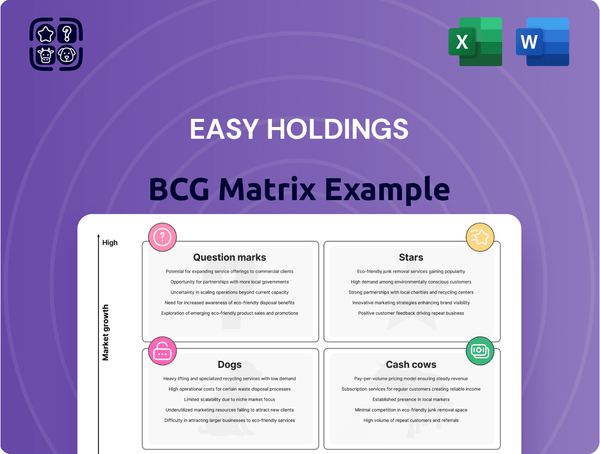 Easy Holdings Boston Consulting Group Matrix