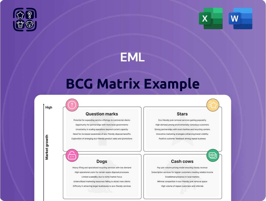 EML Boston Consulting Group Matrix