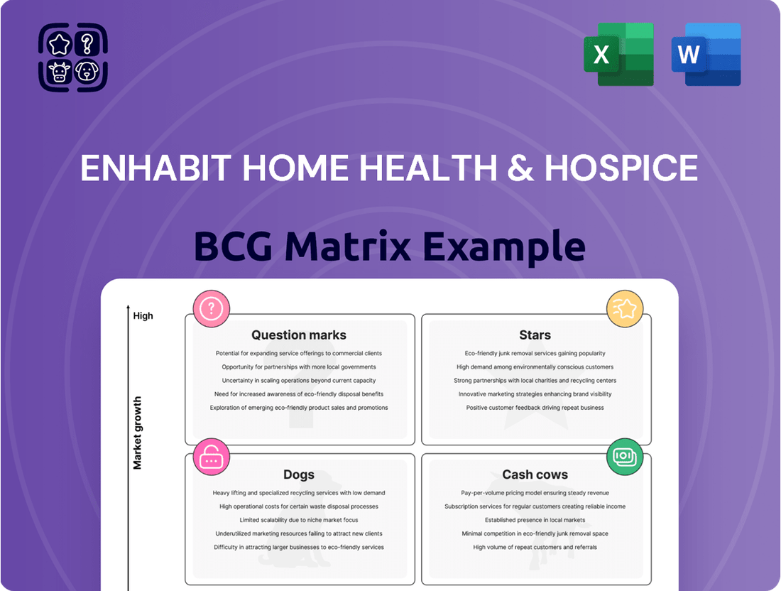 Enhabit Home Health & Hospice Boston Consulting Group Matrix