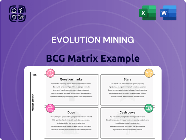 Evolution Mining Boston Consulting Group Matrix