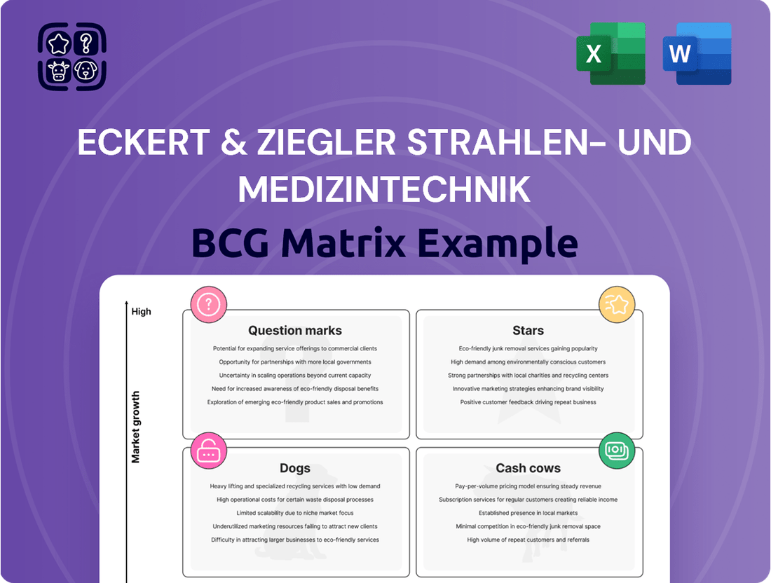 Eckert & Ziegler Strahlen- und Medizintechnik Boston Consulting Group Matrix