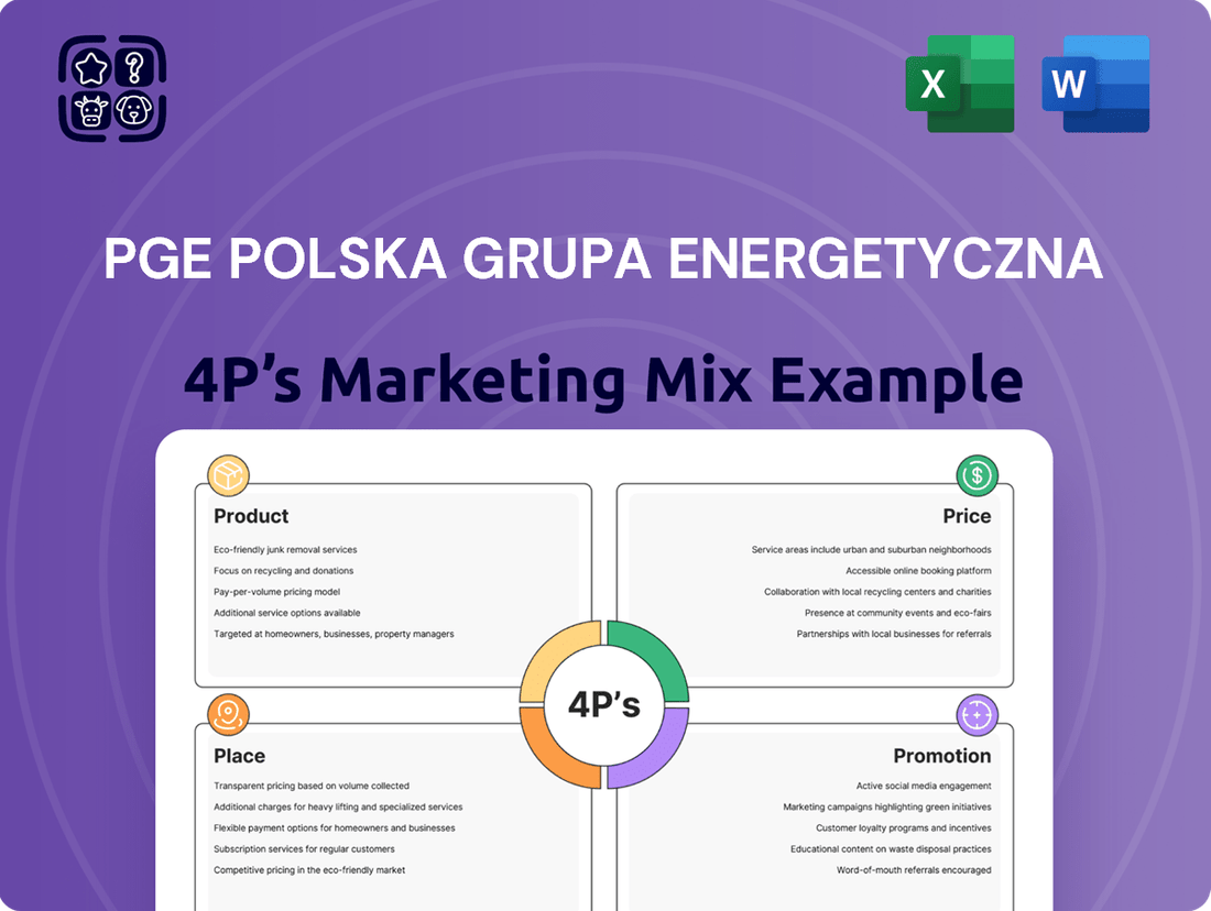 PGE Polska Grupa Energetyczna Marketing Mix