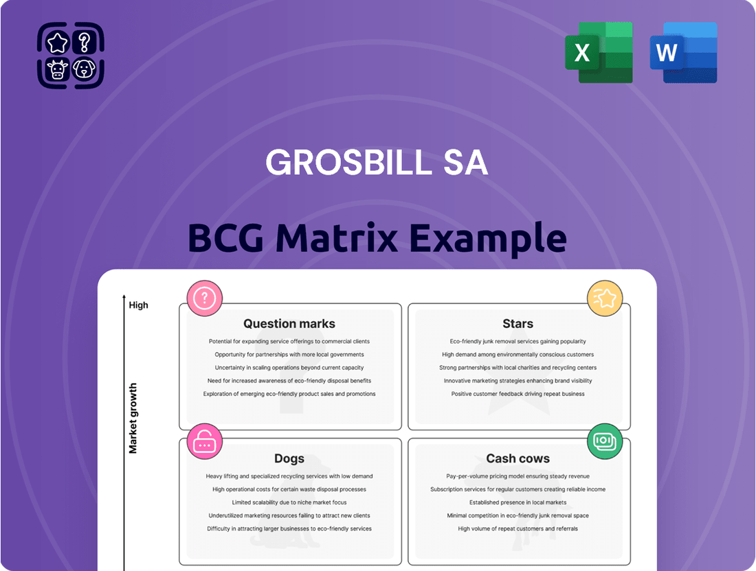 Grosbill SA Boston Consulting Group Matrix