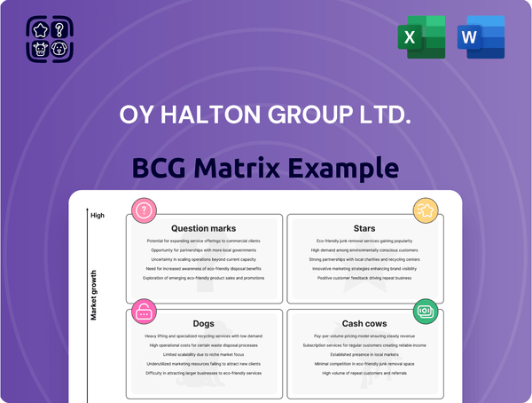 Oy Halton Group Ltd. Boston Consulting Group Matrix