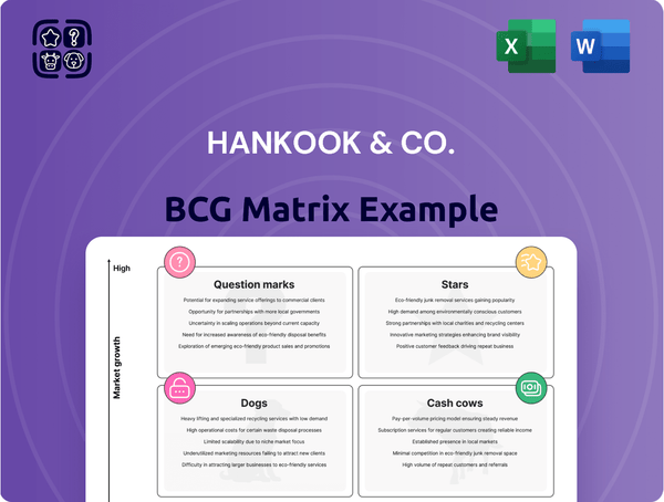 Hankook & Co. Boston Consulting Group Matrix