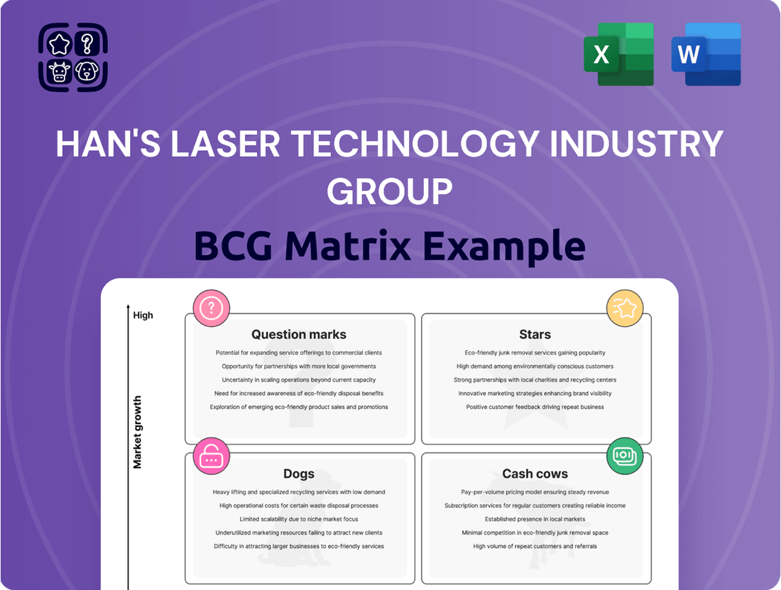 Han's Laser Technology Industry Group Boston Consulting Group Matrix