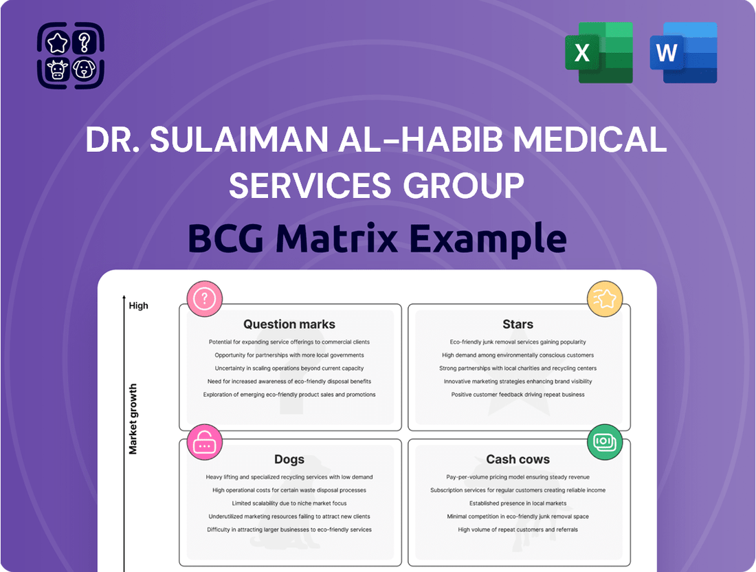 Dr. Sulaiman Al-Habib Medical Services Group Boston Consulting Group Matrix
