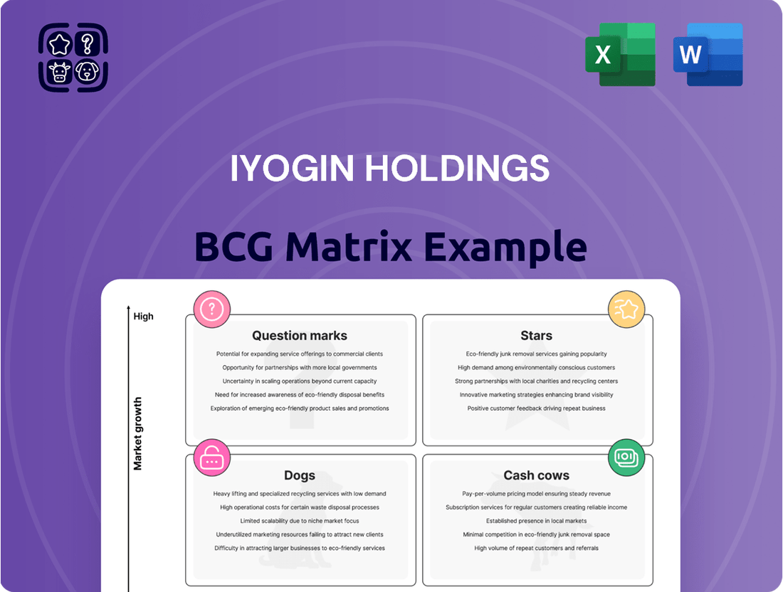 Iyogin Holdings Boston Consulting Group Matrix