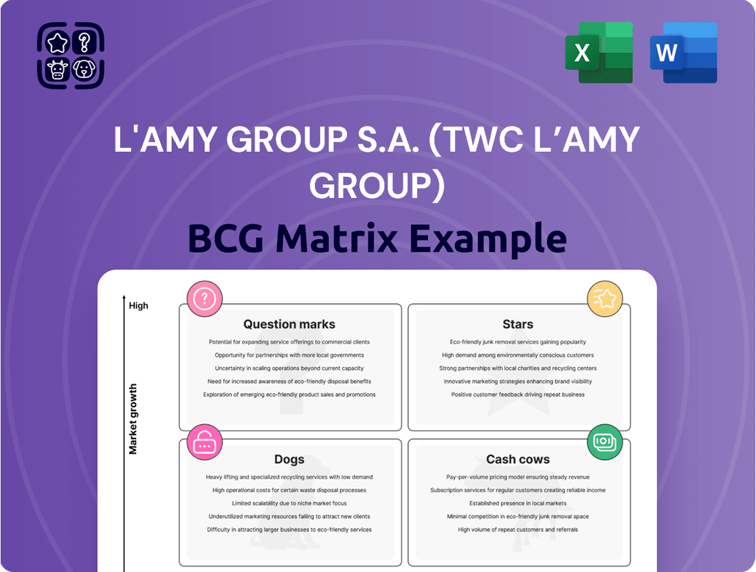 L'AMY Group S.A. (TWC L’AMY Group) Boston Consulting Group Matrix