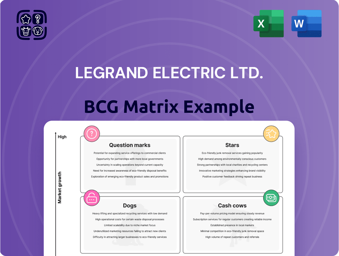 Legrand Electric Ltd. Boston Consulting Group Matrix