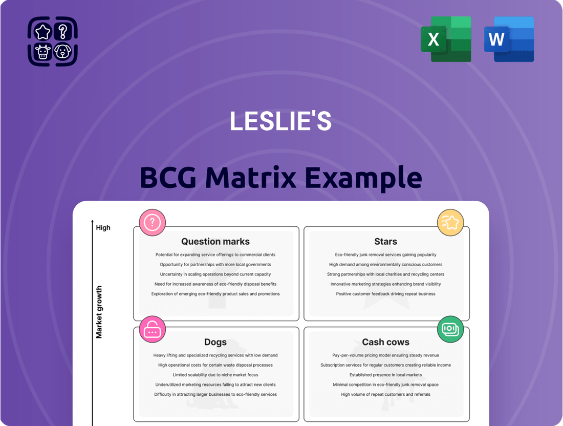 Leslie's Boston Consulting Group Matrix