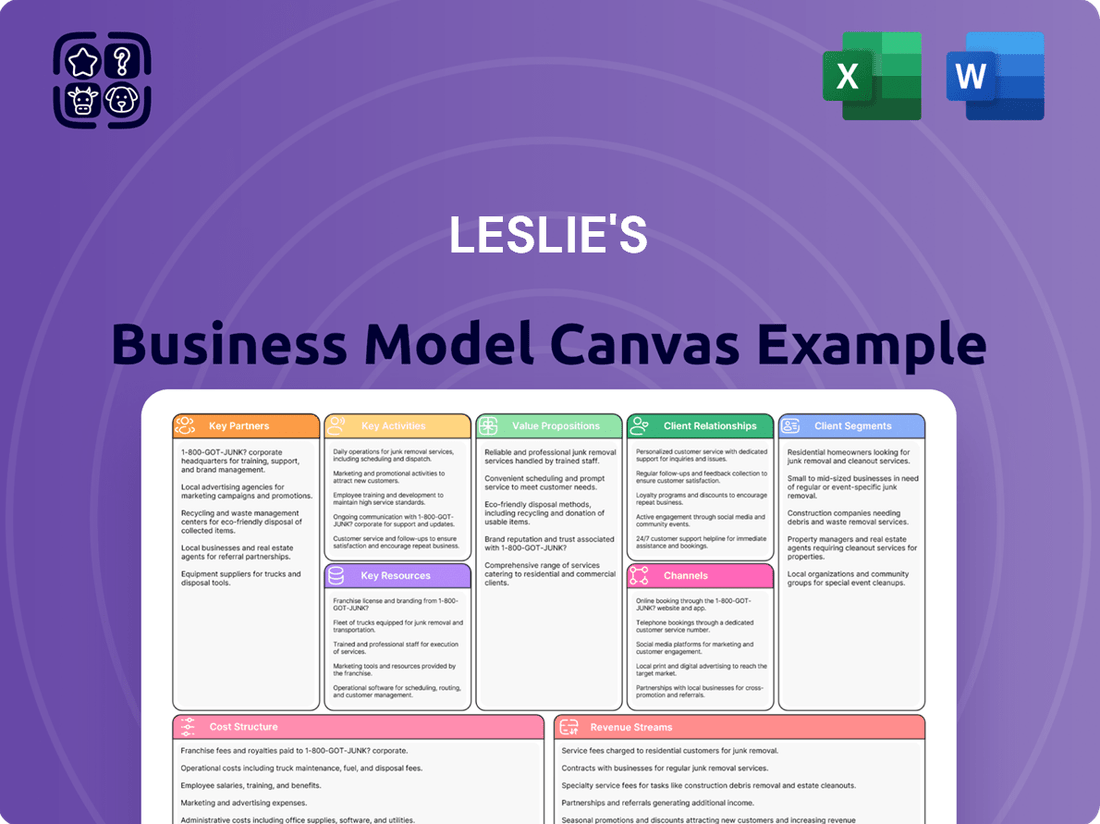 Leslie's Business Model Canvas
