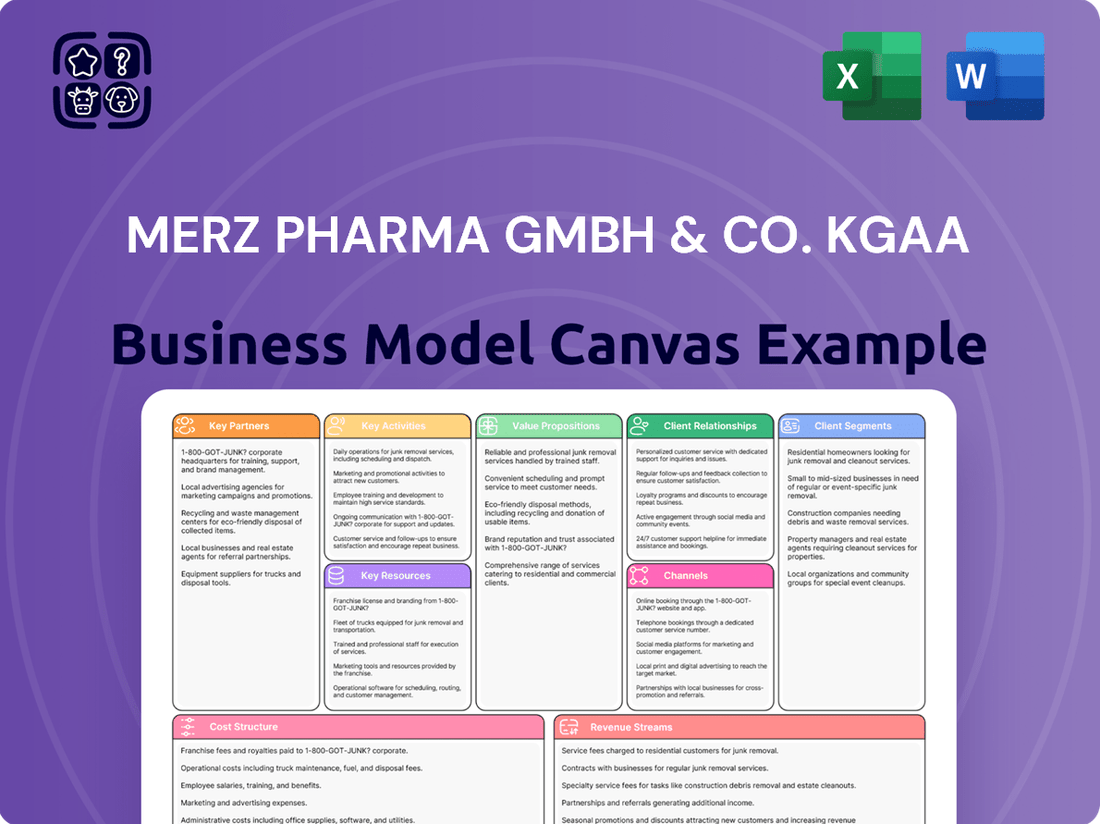 Merz Pharma GmbH & Co. KGaA Business Model Canvas