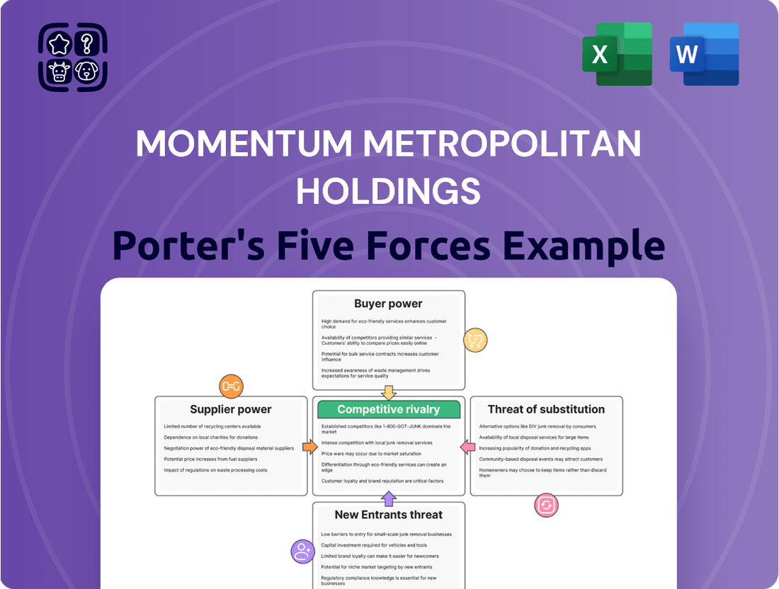 Momentum Metropolitan Holdings Porter's Five Forces Analysis