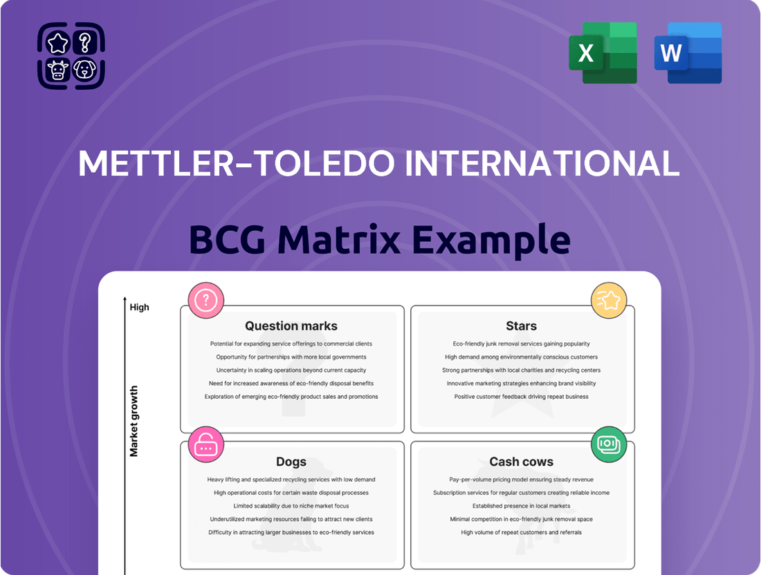 Mettler-Toledo International Boston Consulting Group Matrix