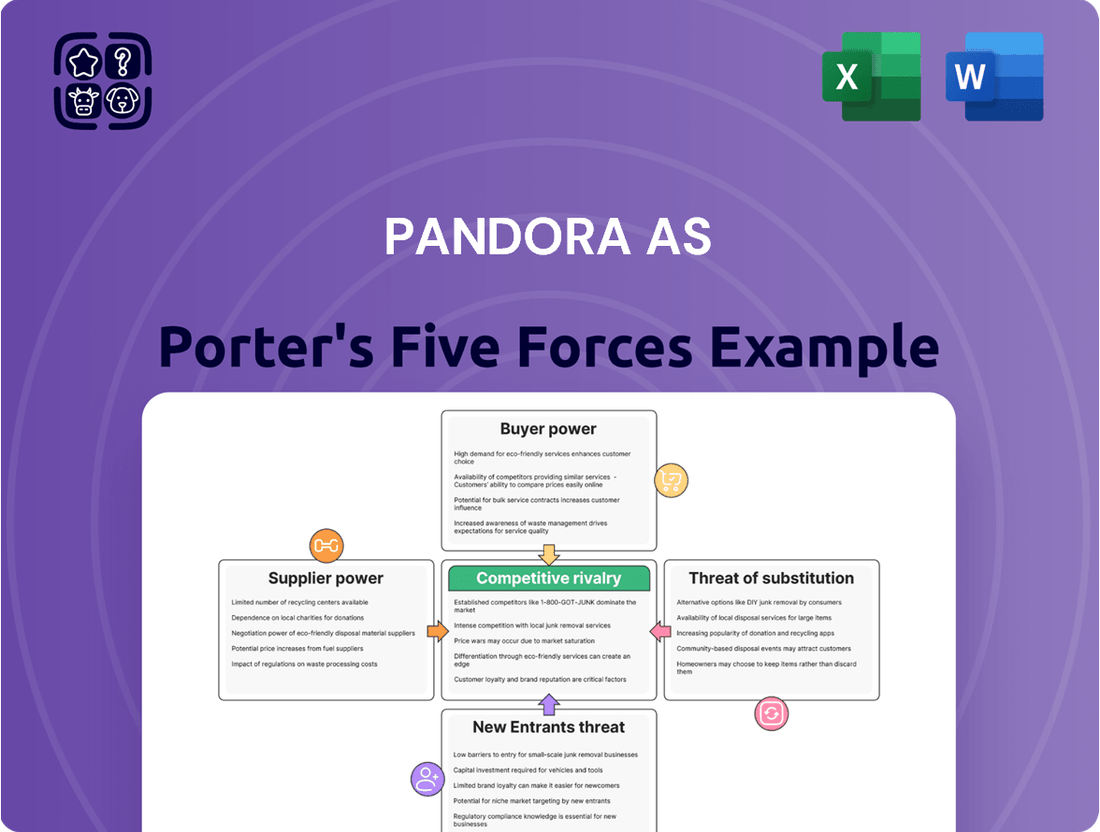 Pandora AS Porter's Five Forces Analysis