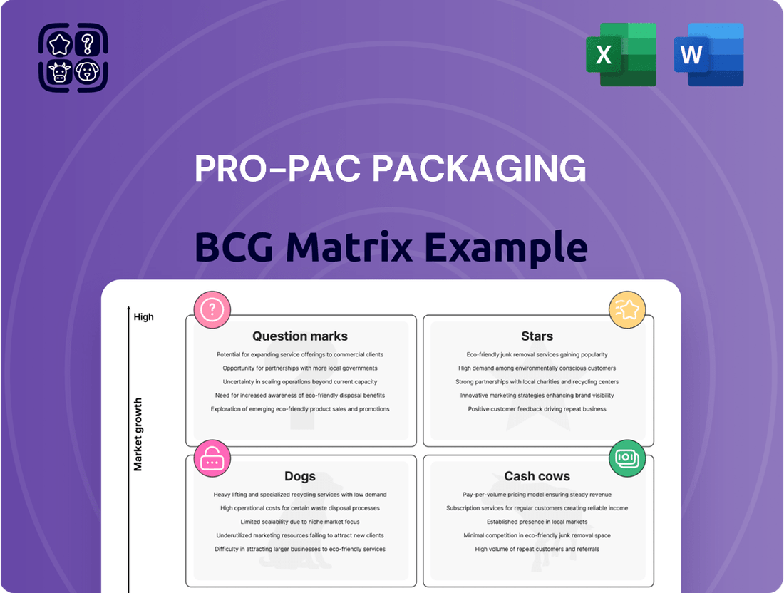 Pro-Pac Packaging Boston Consulting Group Matrix