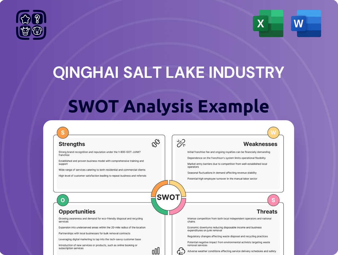 Qinghai Salt Lake Industry SWOT Analysis
