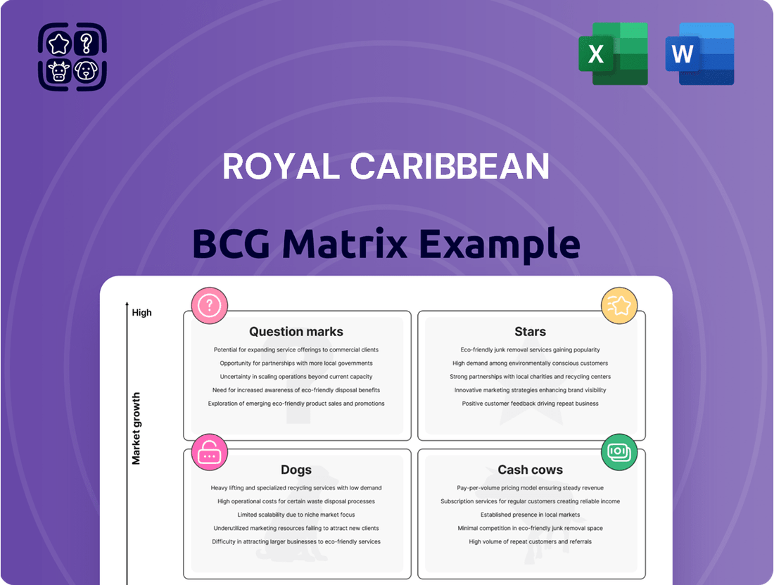 Royal Caribbean Boston Consulting Group Matrix