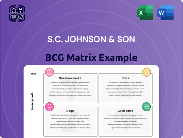 S.C. Johnson & Son Boston Consulting Group Matrix