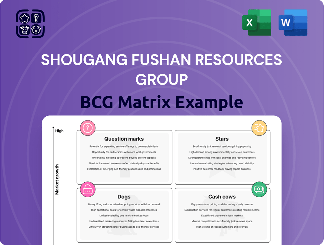 Shougang Fushan Resources Group Boston Consulting Group Matrix