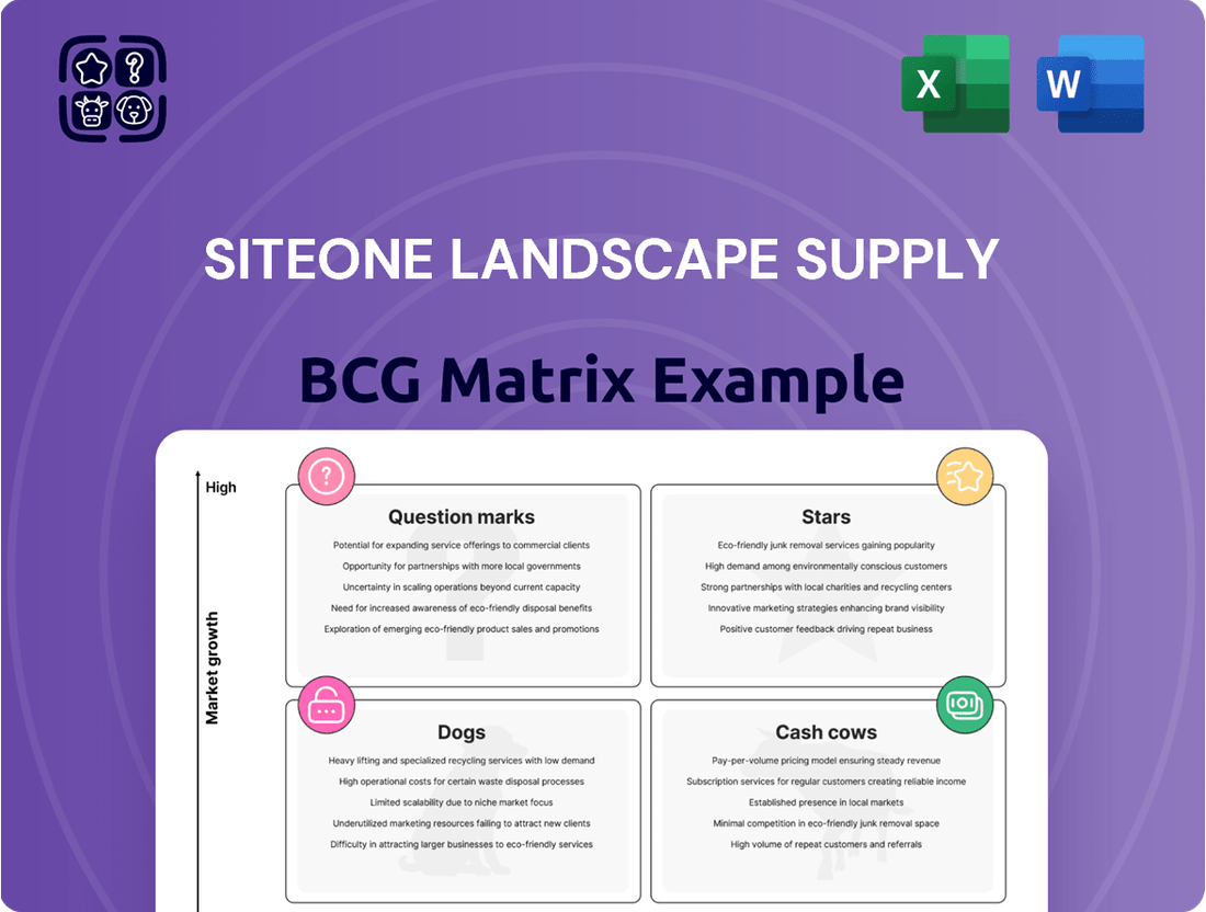SiteOne Landscape Supply Boston Consulting Group Matrix