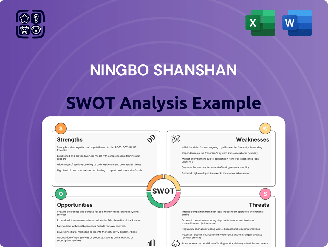 Ningbo Shanshan SWOT Analysis