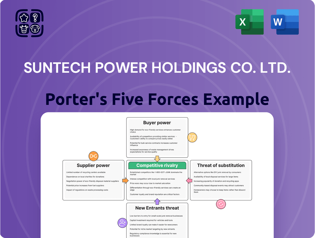 Suntech Power Holdings Co. Ltd.  Porter's Five Forces Analysis