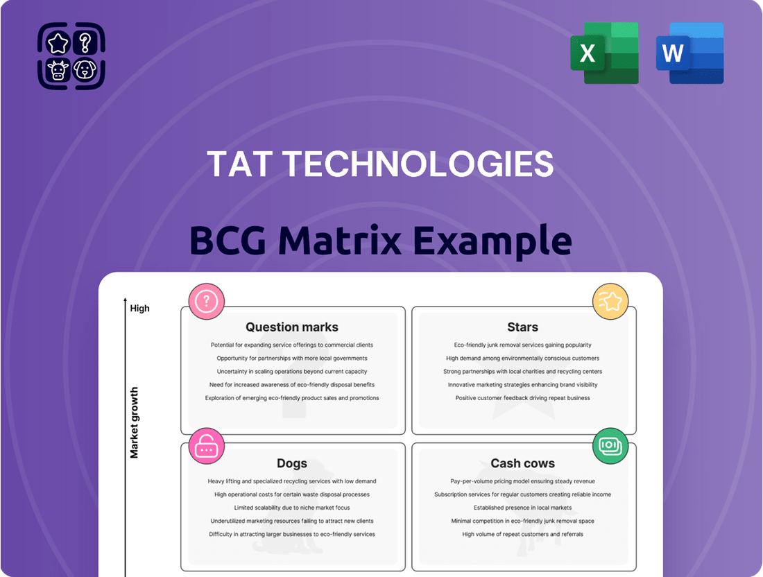 TAT Technologies Boston Consulting Group Matrix