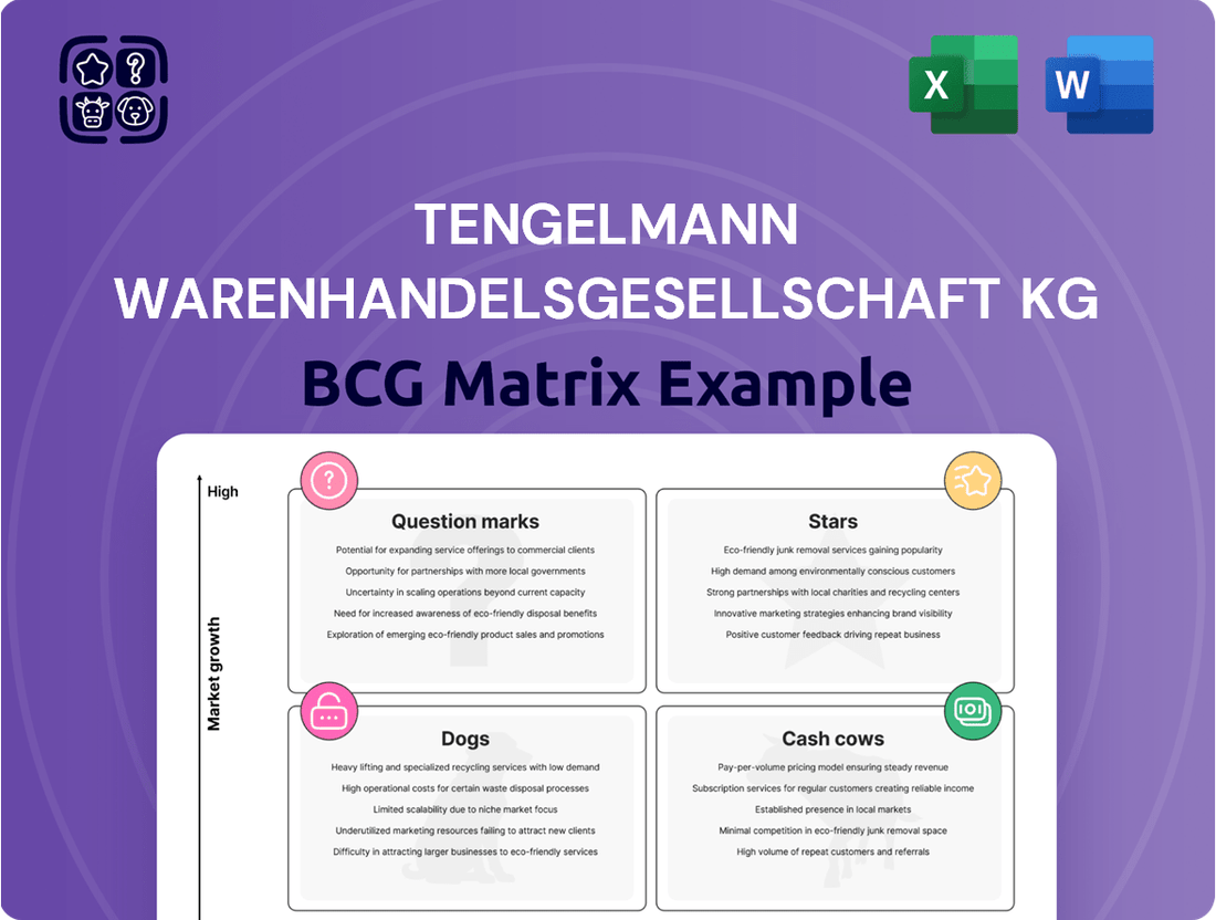 Tengelmann Warenhandelsgesellschaft KG Boston Consulting Group Matrix