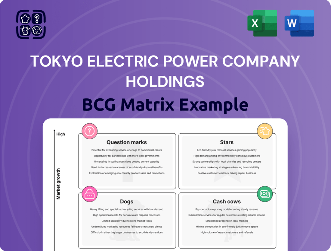 Tokyo Electric Power Company Holdings Boston Consulting Group Matrix