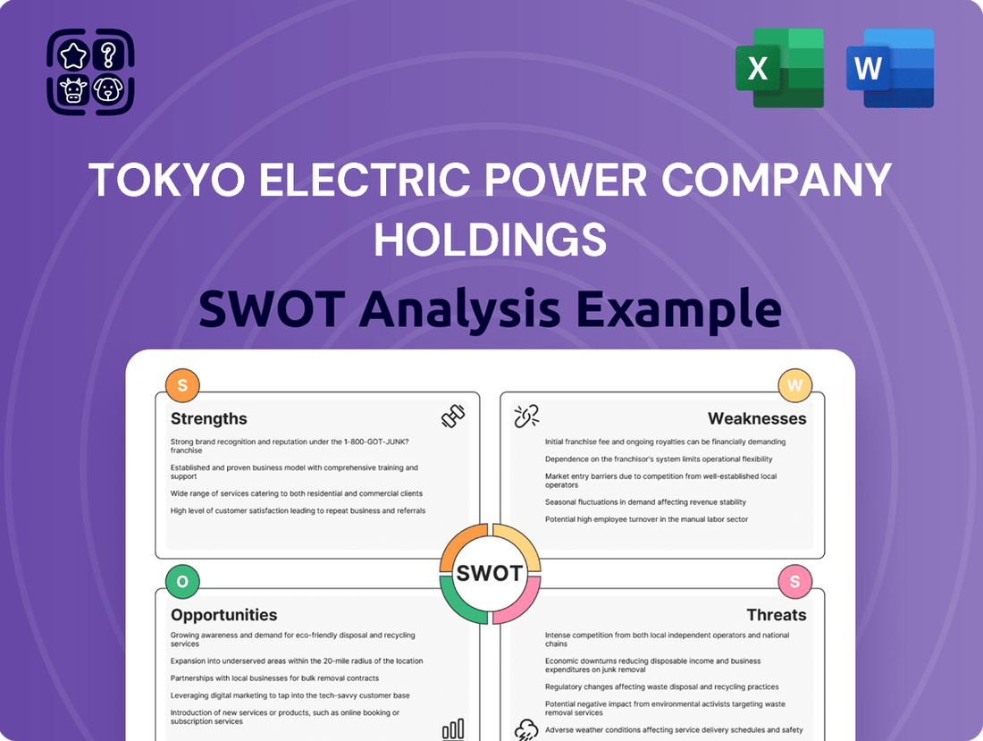 Tokyo Electric Power Company Holdings SWOT Analysis