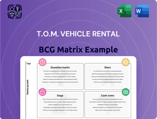 T.O.M. Vehicle Rental Boston Consulting Group Matrix