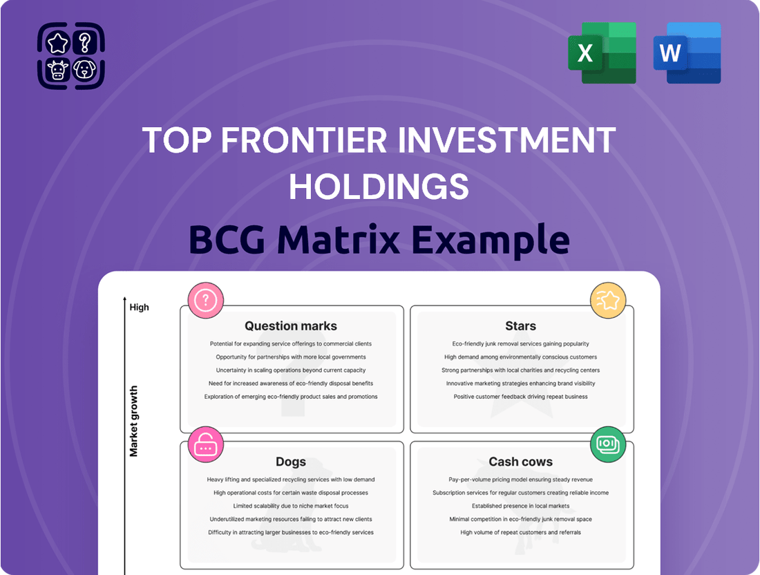 Top Frontier Investment Holdings Boston Consulting Group Matrix