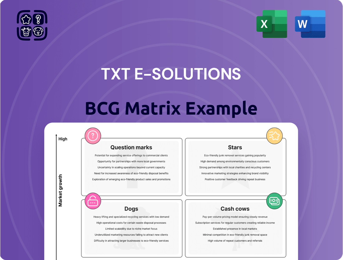 TXT e-solutions Boston Consulting Group Matrix