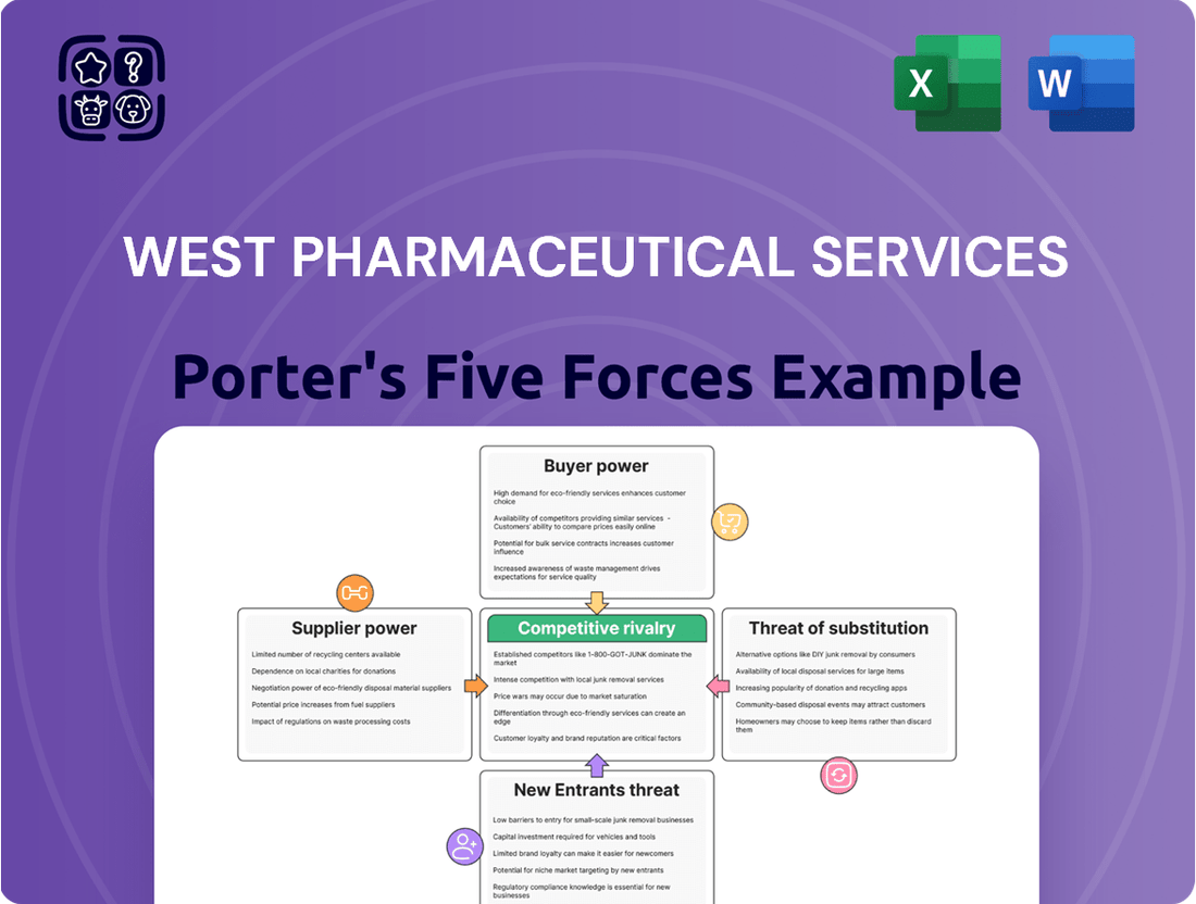 West Pharmaceutical Services Porter's Five Forces Analysis