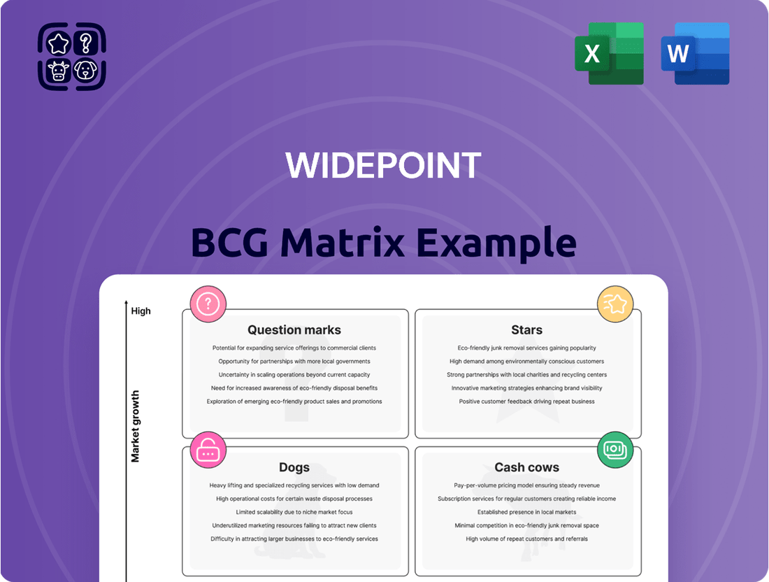 WidePoint Boston Consulting Group Matrix