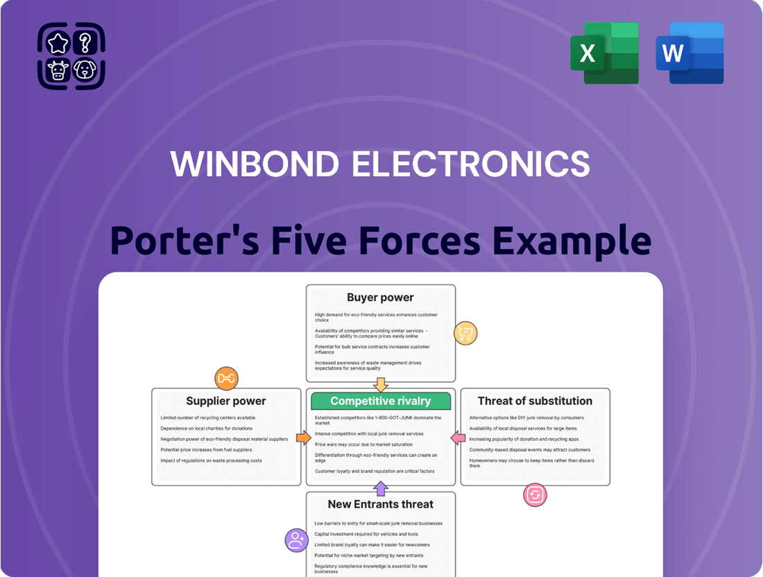 Winbond Electronics Porter's Five Forces Analysis