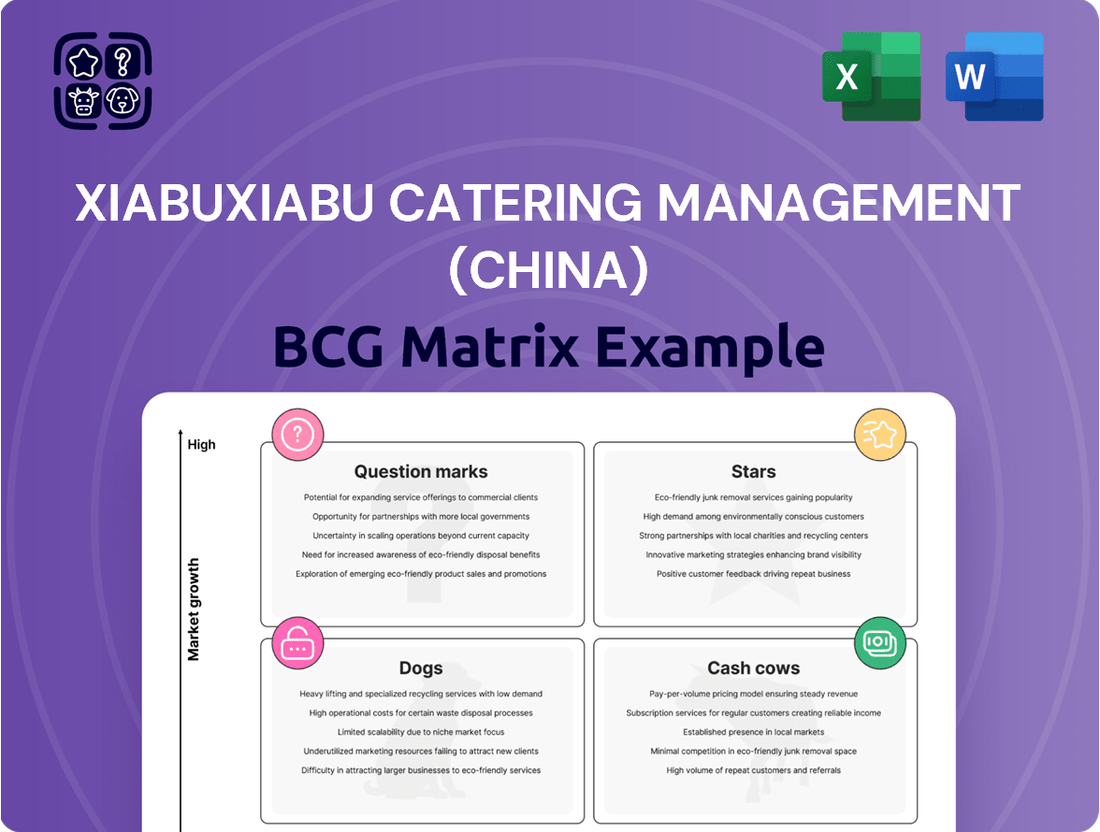 Xiabuxiabu Catering Management (China) Boston Consulting Group Matrix