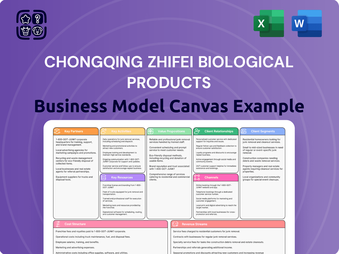 Chongqing Zhifei Biological Products Business Model Canvas